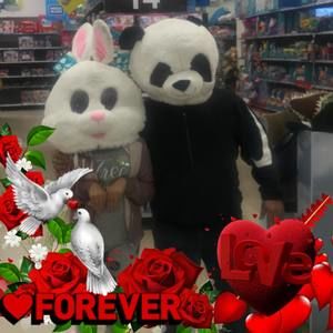 Meet your Posher, Ismael